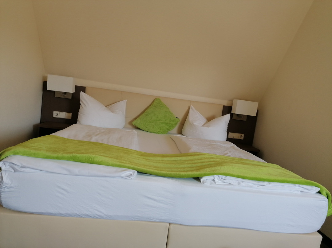 City Hotel Freiburg主图