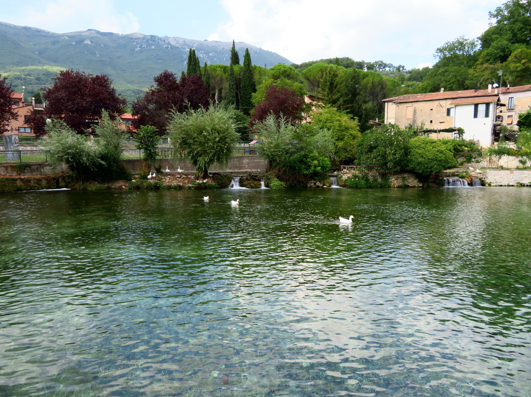 Lago dei Cigni景点图片