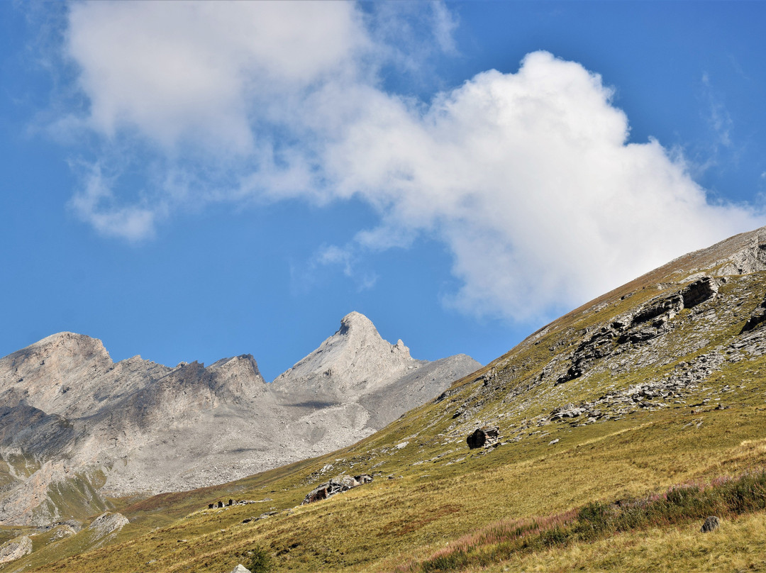 Colle dell'Agnello景点图片