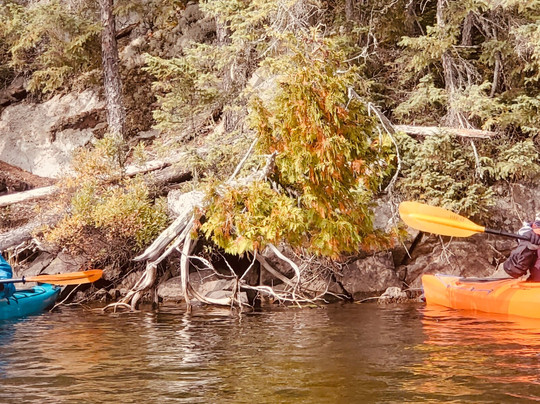 Stone Harbor Wilderness Supply-大马雷必去景点