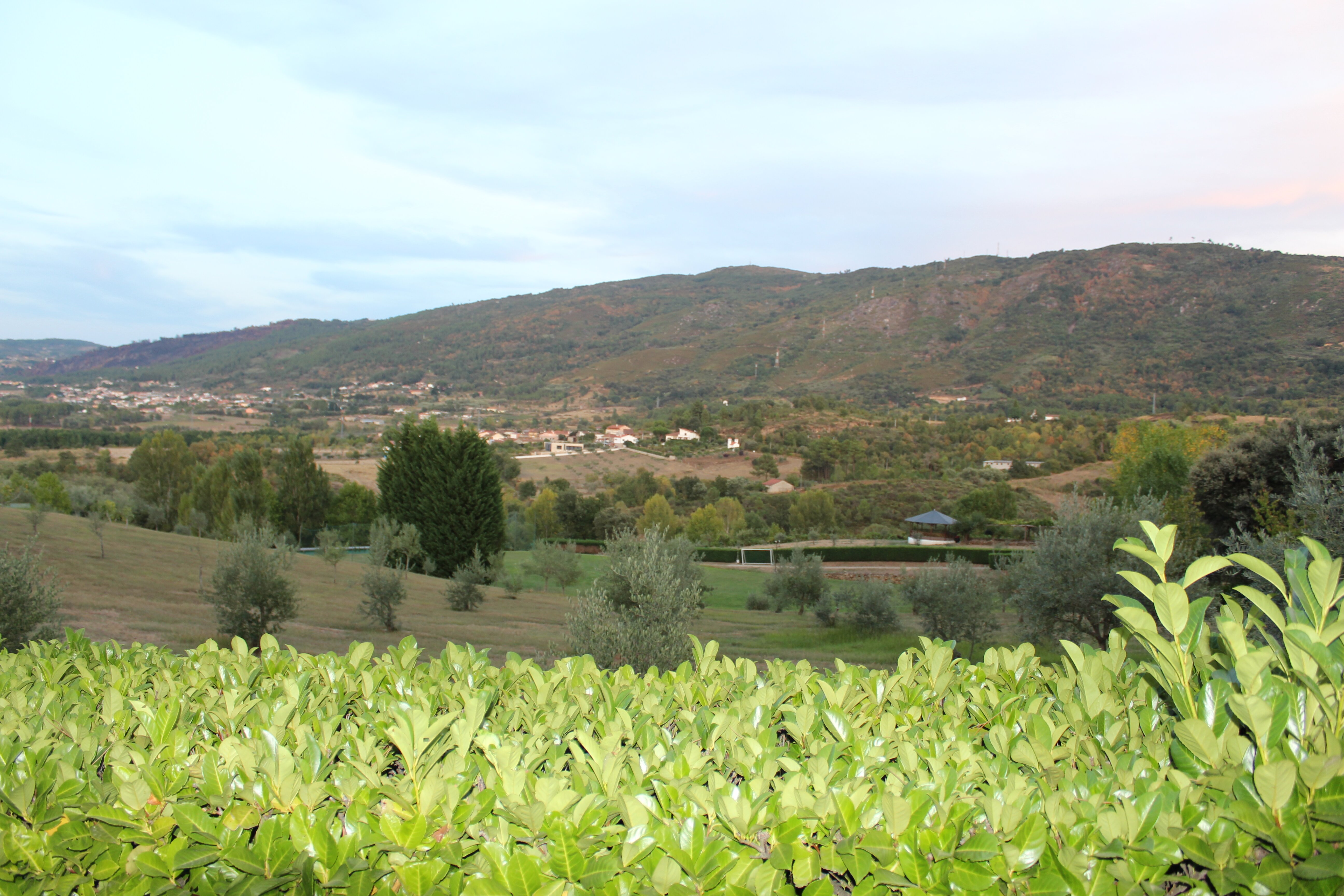 Hotel Rural Quinta de Samaiões-家庭/游戏区