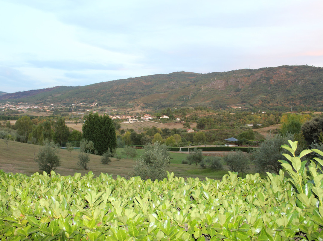 Hotel Rural Quinta de Samaiões主图