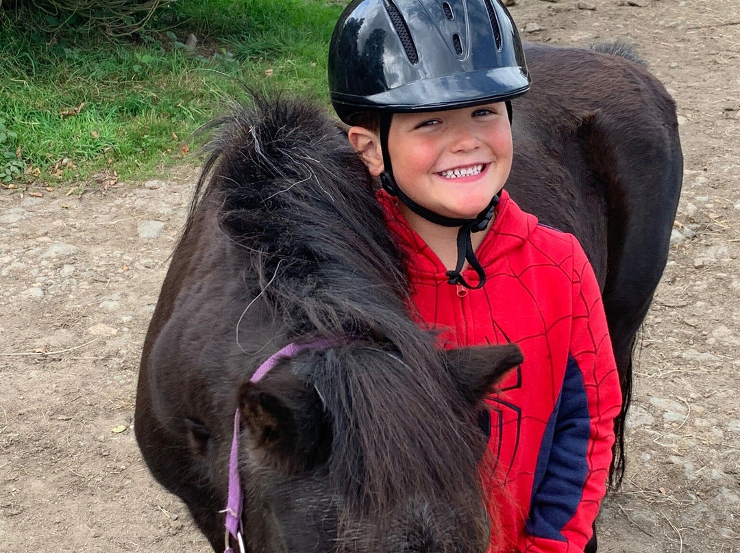 Caradon Hill Trekking and Equestrian Centre-Pensilva必去景点