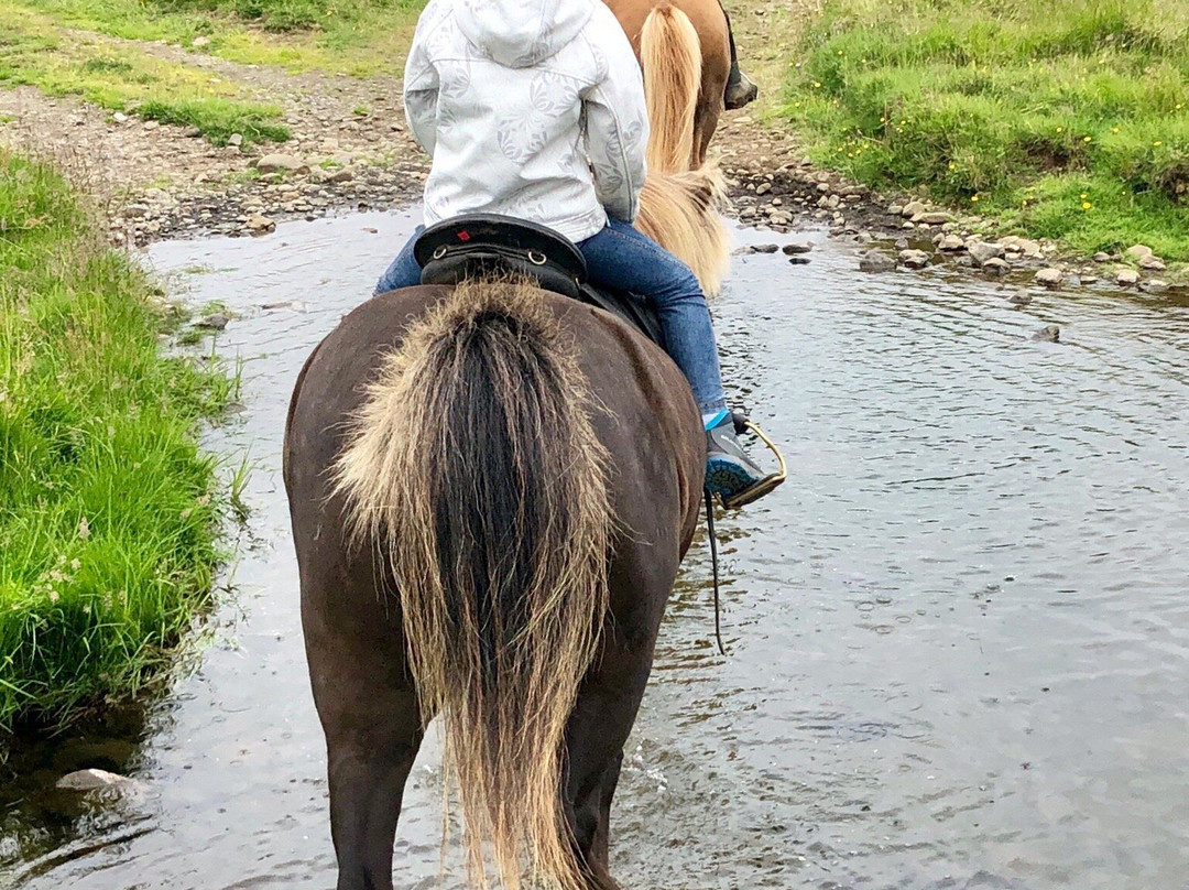 Lýtingsstadir Riding Tours-Varmahlid必去景点