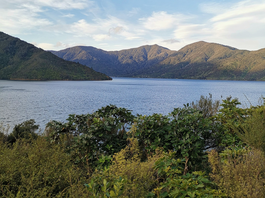 Punga Cove Resort主图