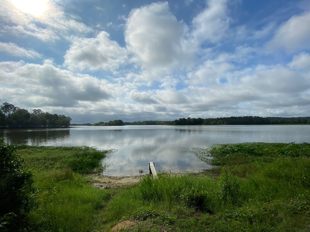 Lakepoint Resort State Park景点图片