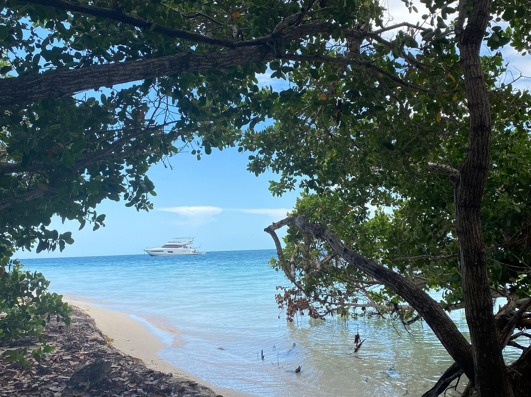 Rusty's Bucket Charters-基韦斯特必去景点