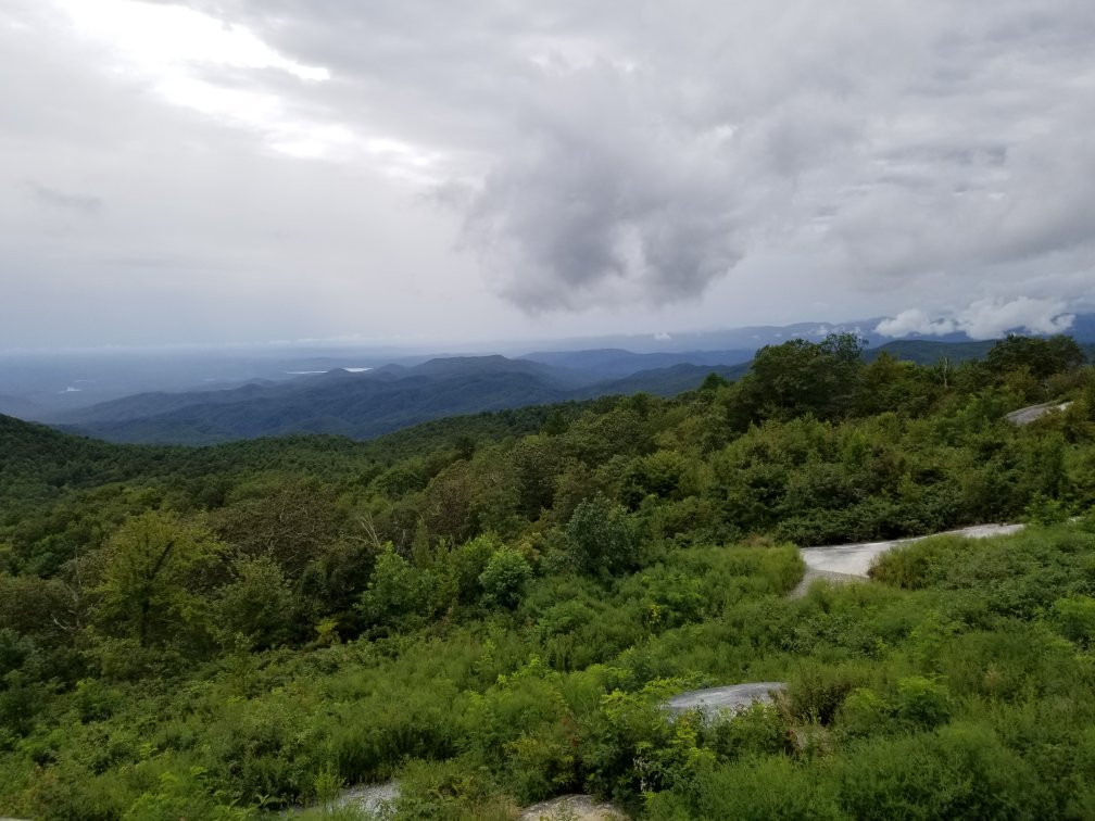 Sassafras Mountain景点图片