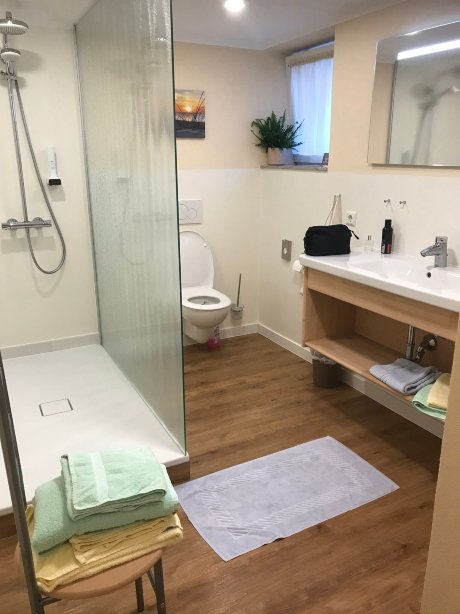 Breitmattstub Bühlertal 公寓酒店-浴室