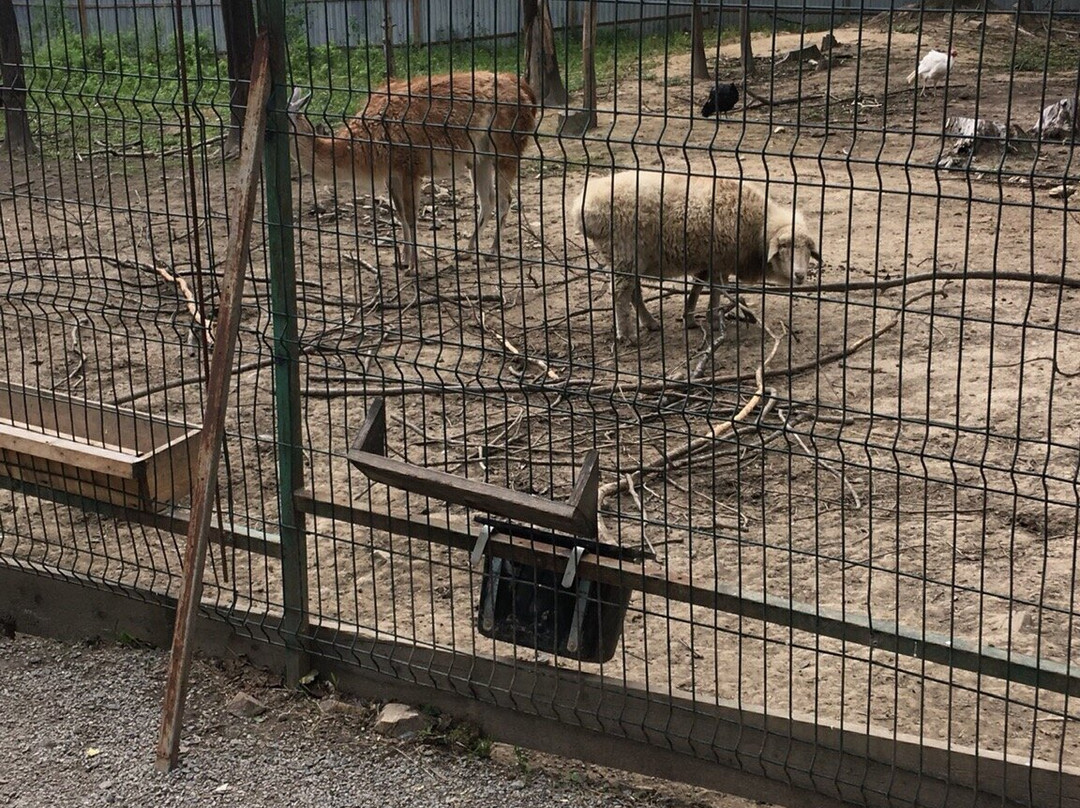 Sadgorod Zoo-海参崴必去景点