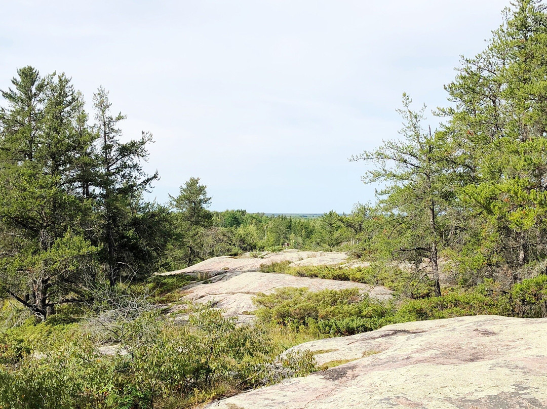 Blueberry Hill Trail景点图片