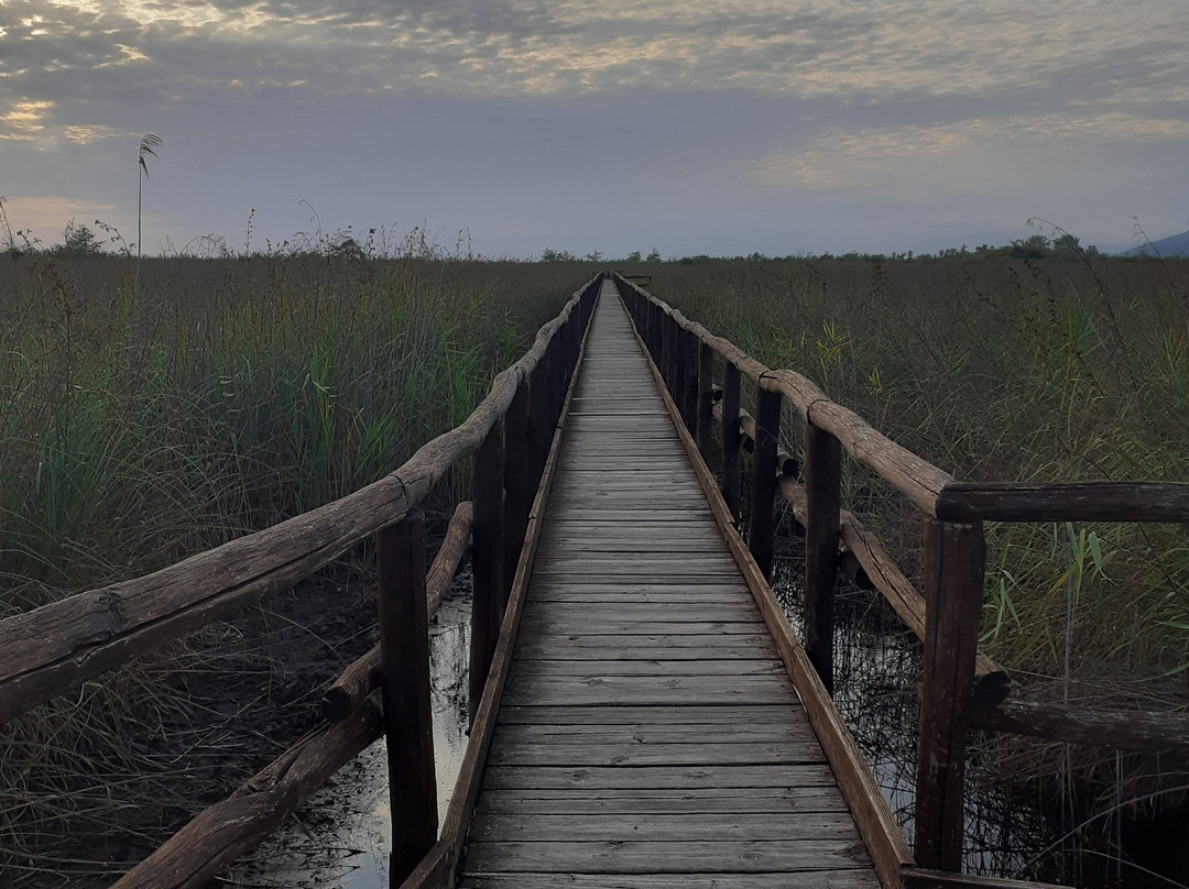 Lake Massaciuccoli-Torre del Lago Puccini必去景点