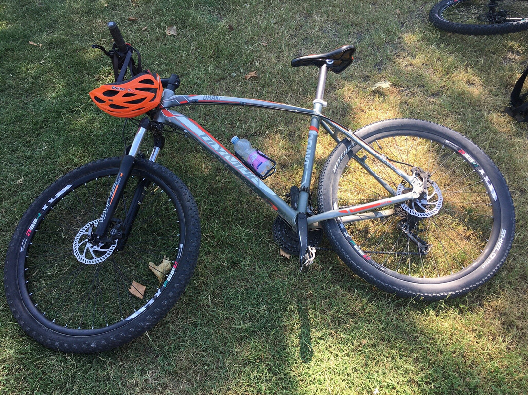 Pedalando Vai - Bike Rentals-明乔河畔瓦莱焦必去景点