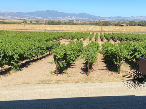 Kalyra Winery-圣伊内斯必去景点