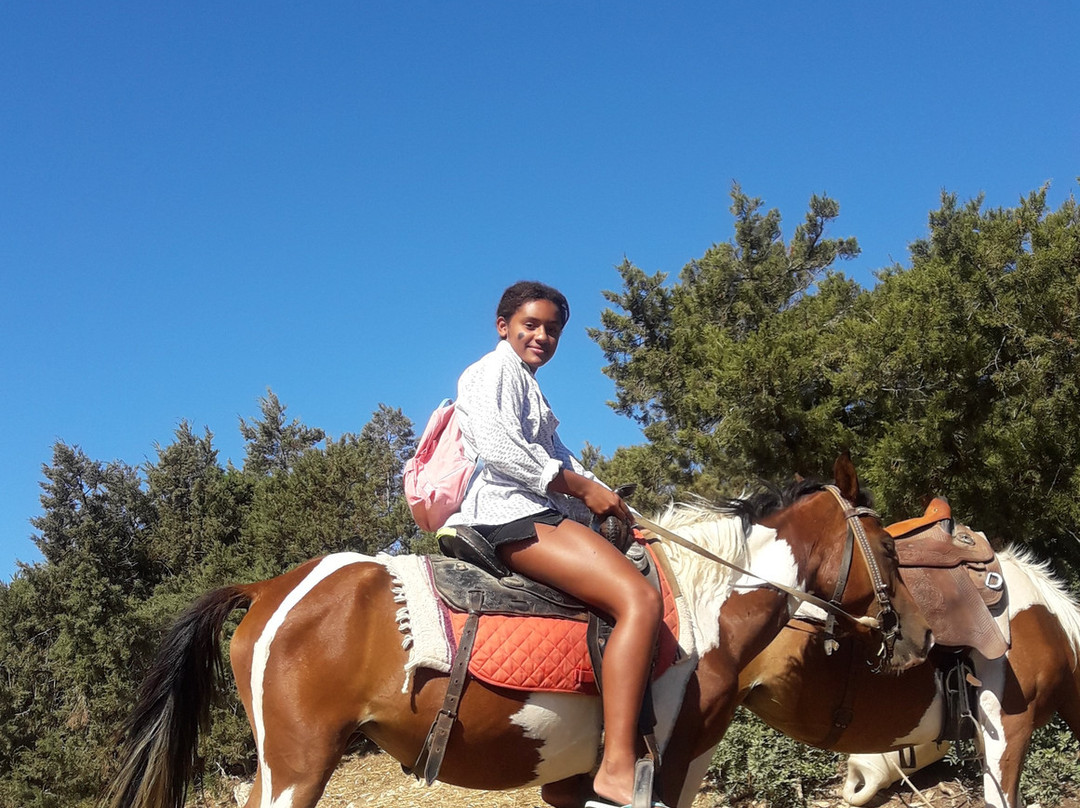Apaloosa Horse Riding Club景点图片