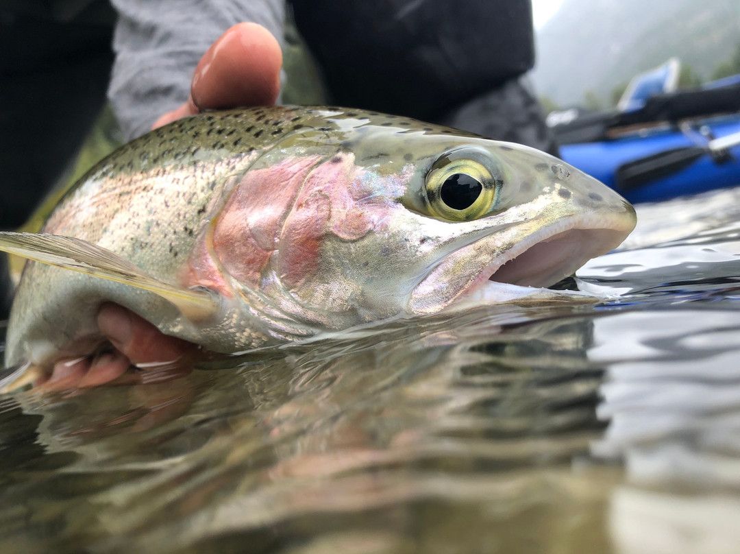 Stehekin Fishing Adventures景点图片