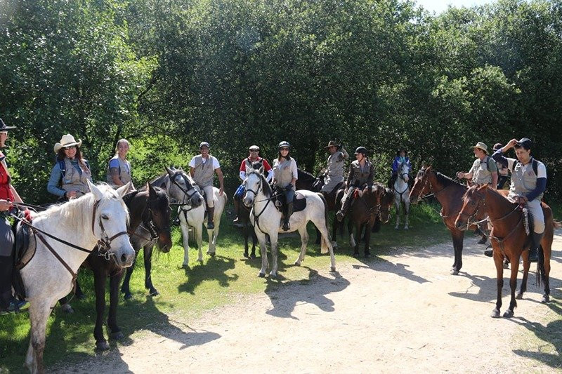 Xperience by Horse-Abadin必去景点