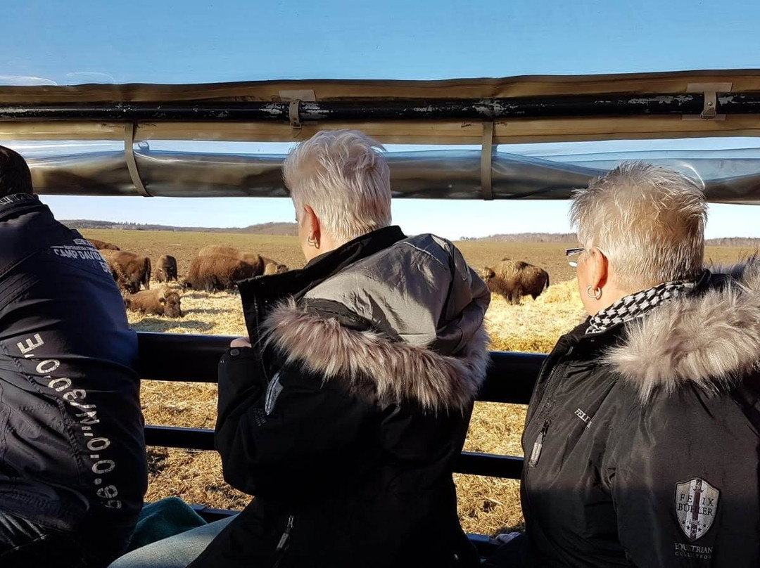 Stangerode旅游攻略图片