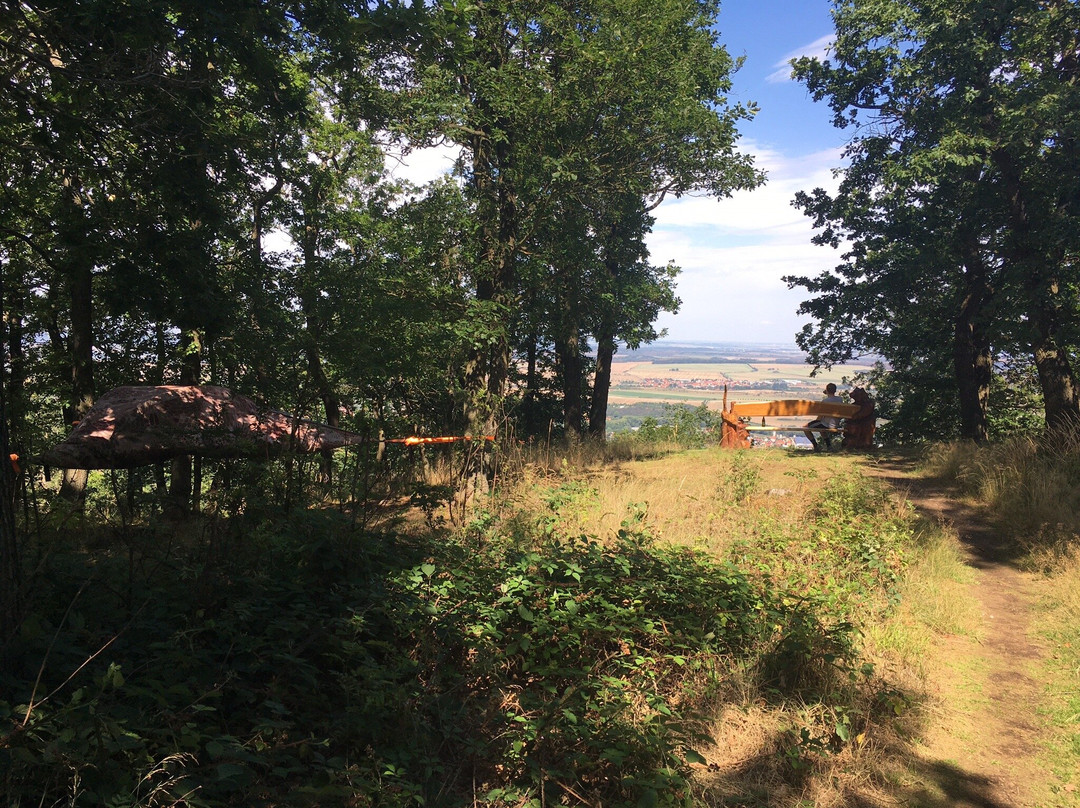 Pension Forsthaus Georgshöhe主图