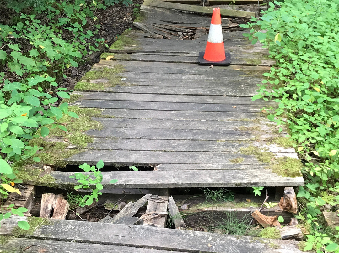 Bruce's Mill Conservation Park景点图片