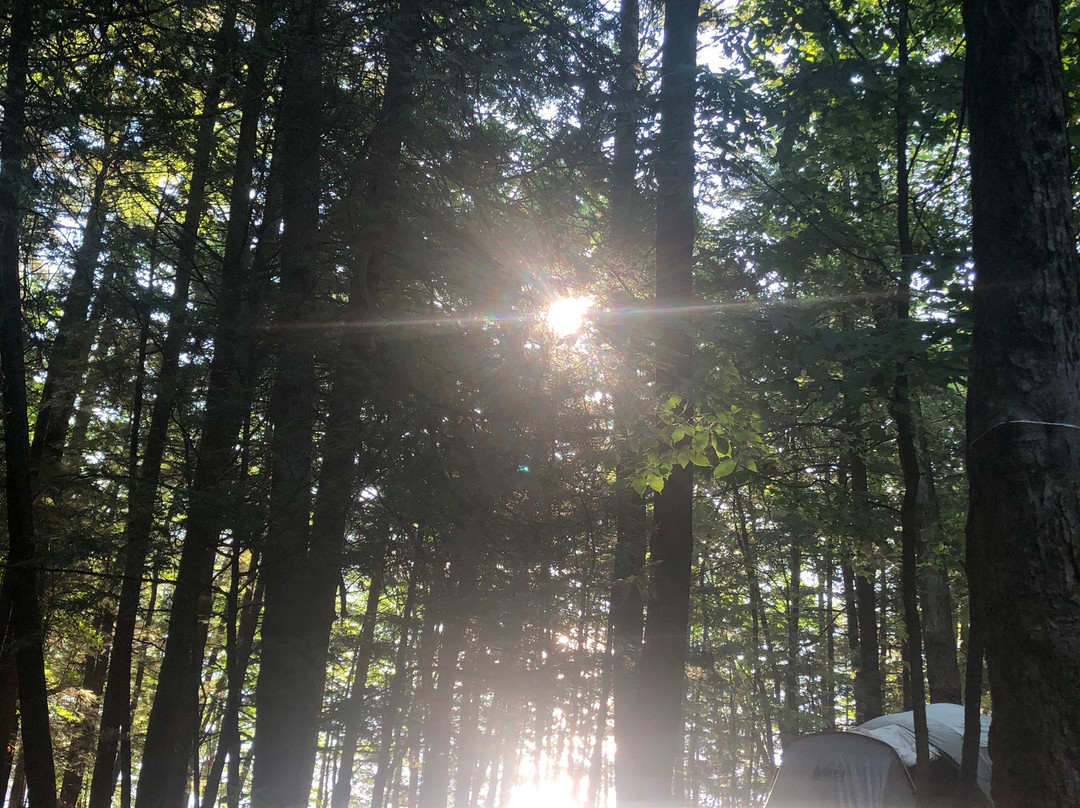 Rogers Rock-Hague必去景点