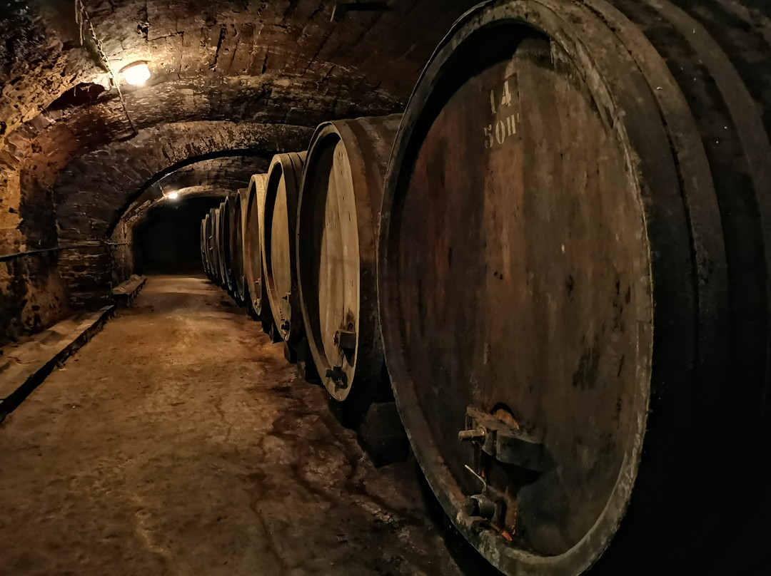 Château De Julienas-Julienas必去景点