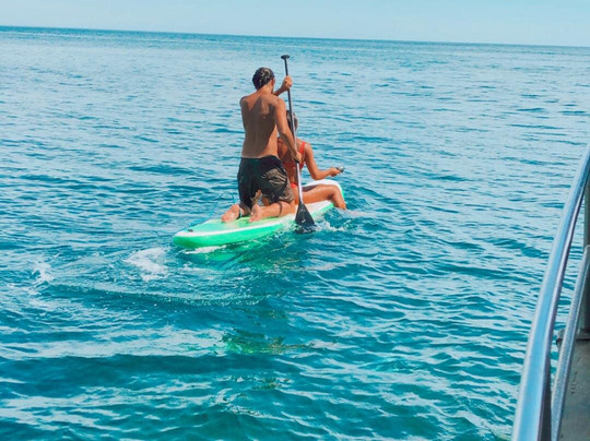 Ocean Experience Sesimbra-塞新布拉必去景点