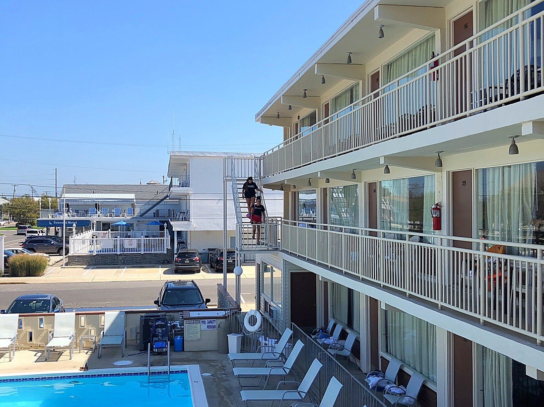 Cape May County酒店住宿-Lark Motel