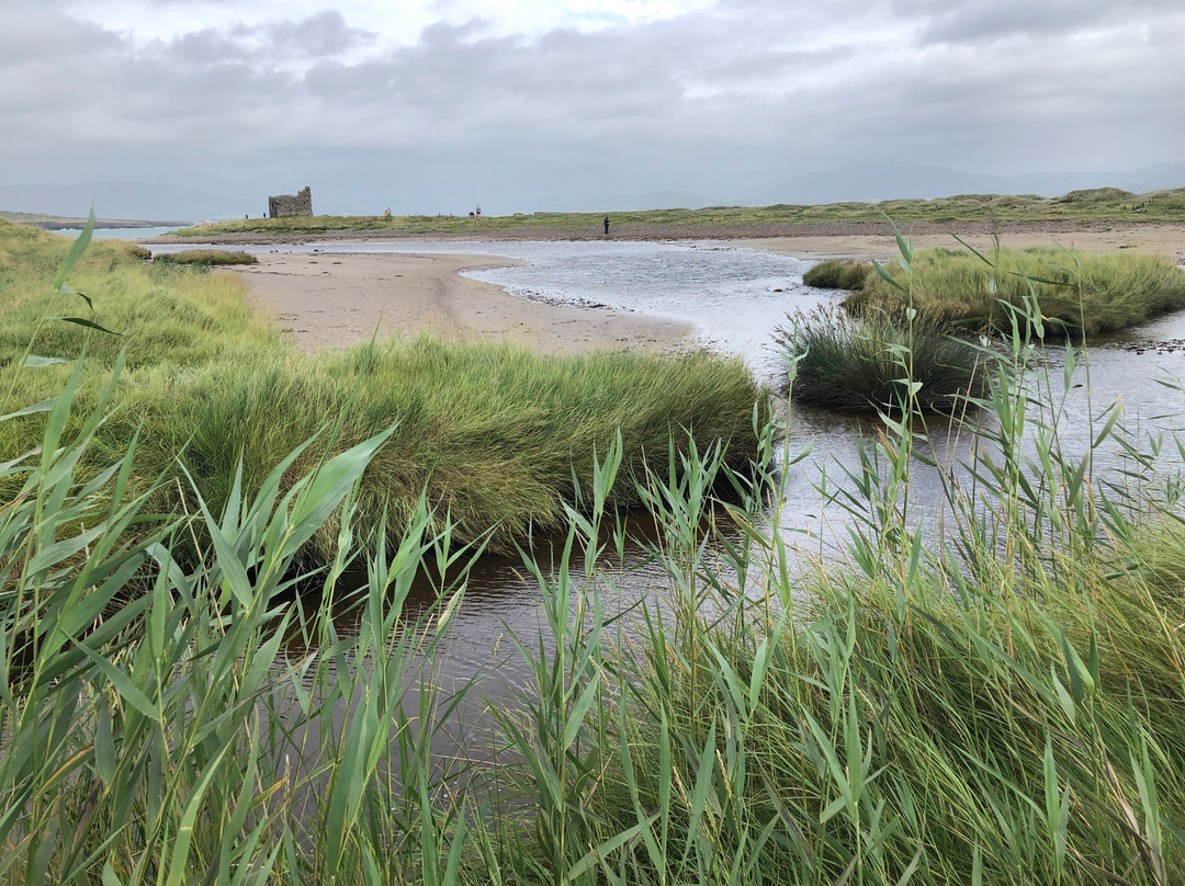 McCarthy Mór Tower House - Ballinskellig Castle-Ballinskelligs必去景点
