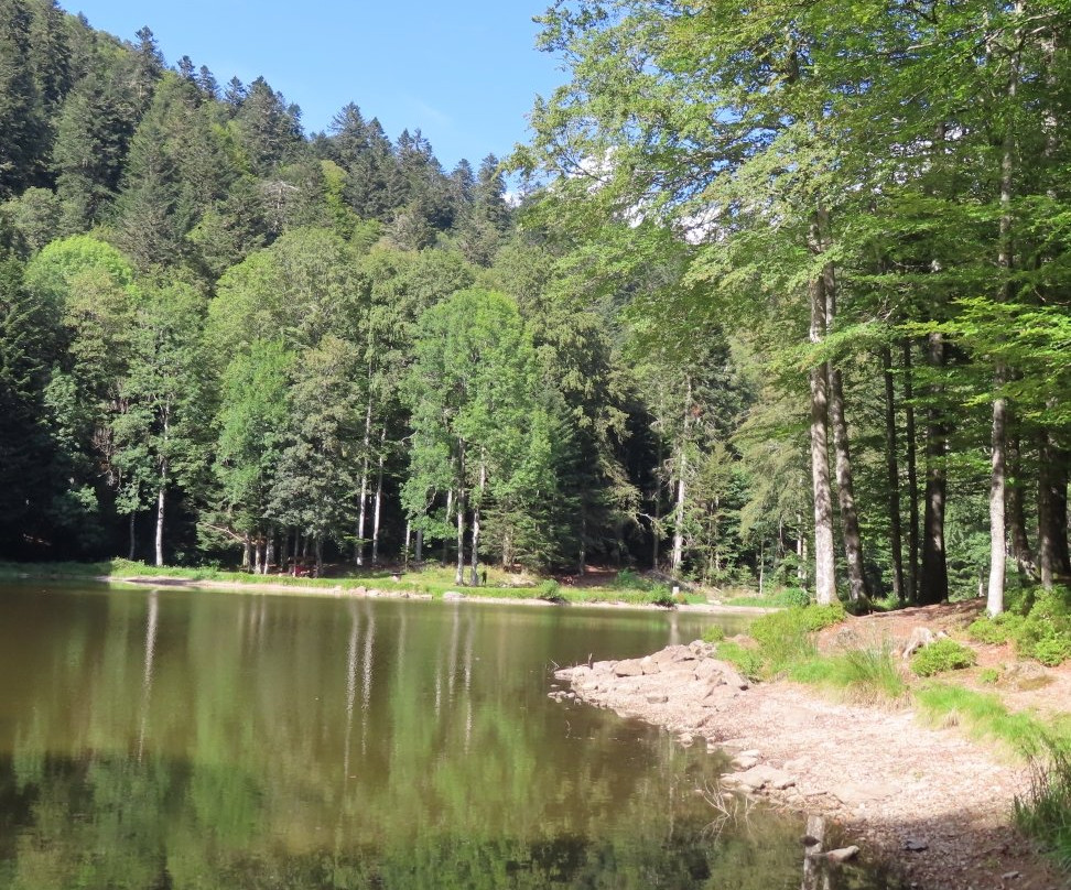 La Planche des Belles Filles-Plancher-les-Mines必去景点