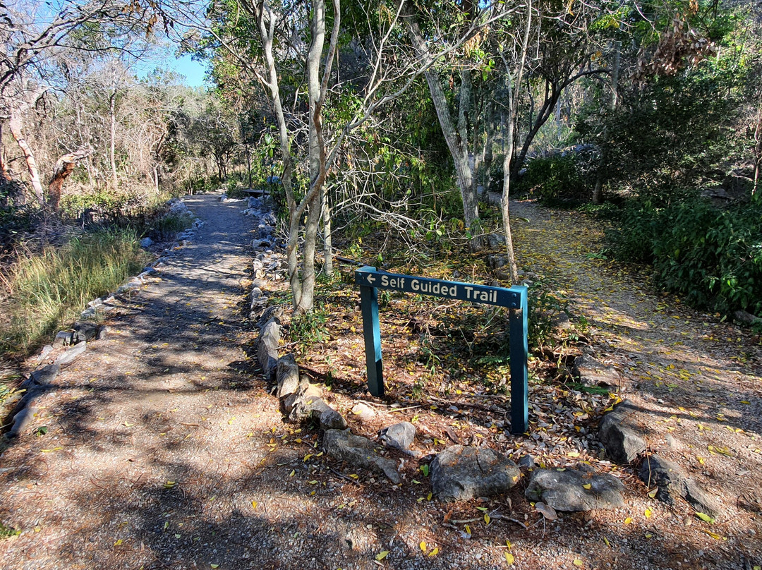 Mount Etna Caves National Park-The Caves必去景点
