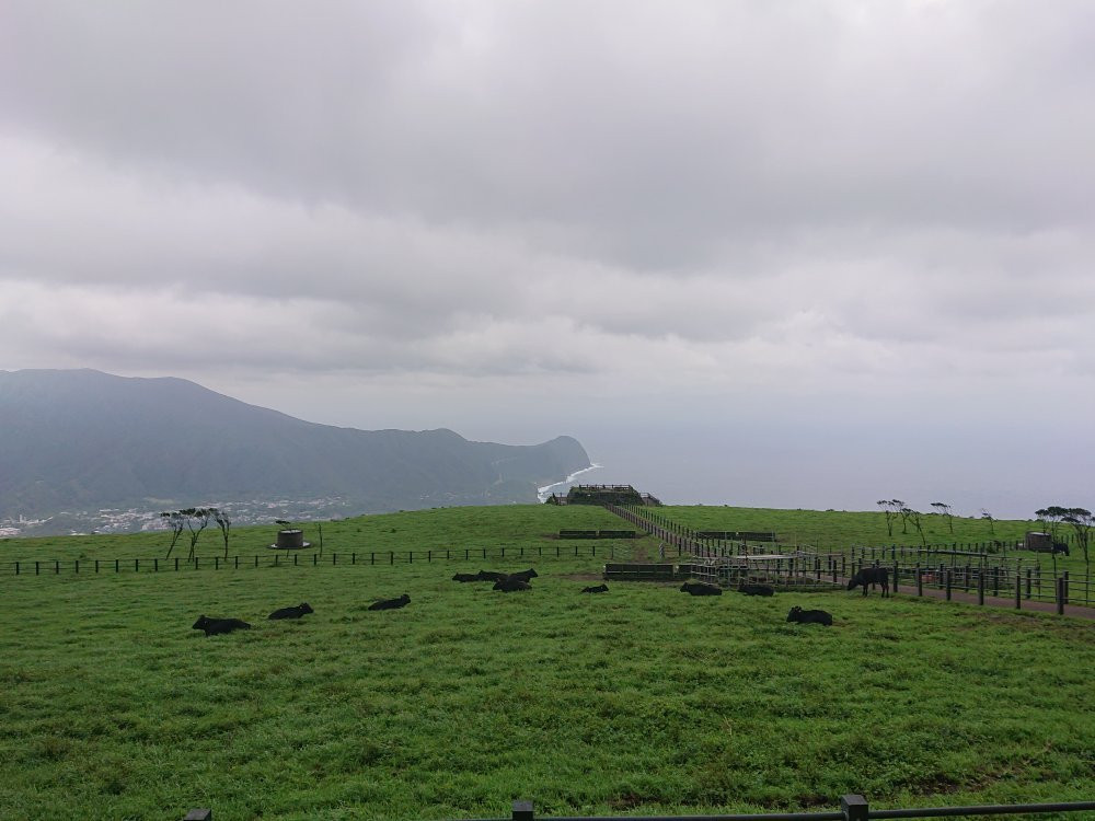 Hachijo Fuji Fureai Bokujo-八丈町必去景点