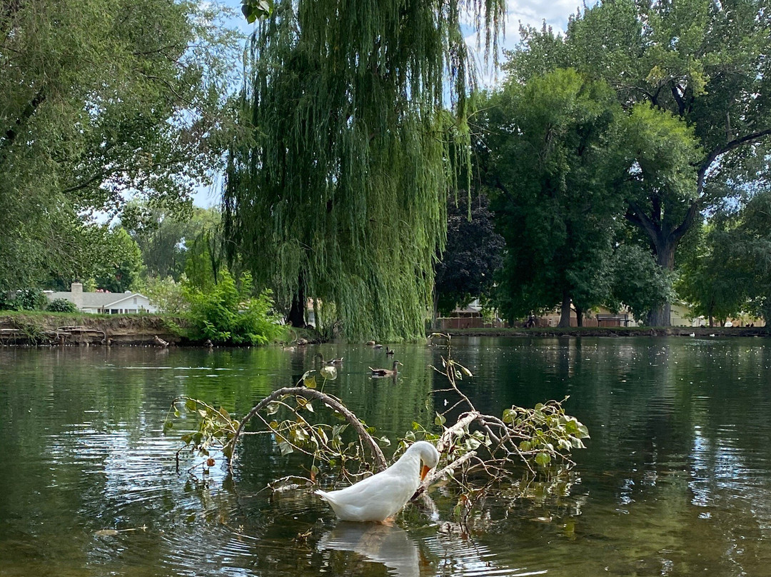 Bishop Dog Park-毕晓普必去景点