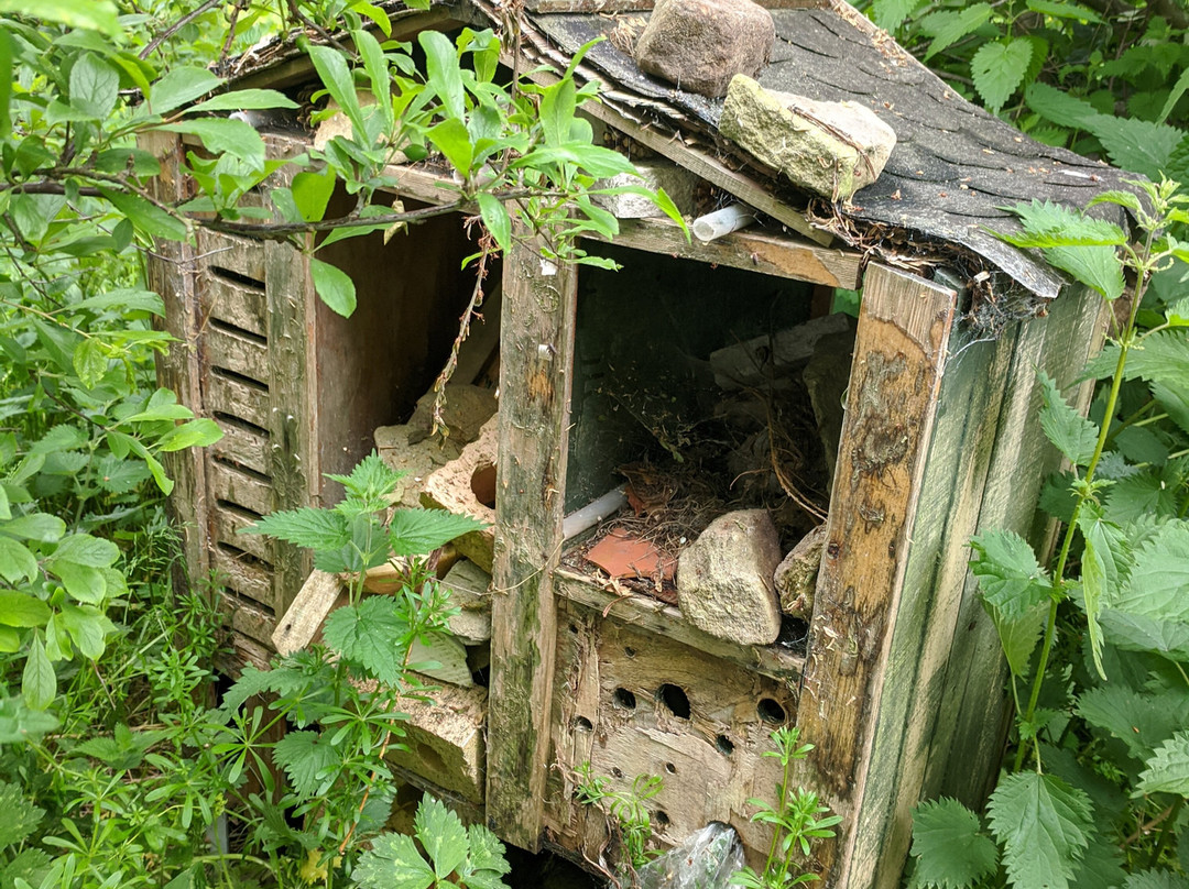Fairfield Nature Reserve-兰开斯特必去景点