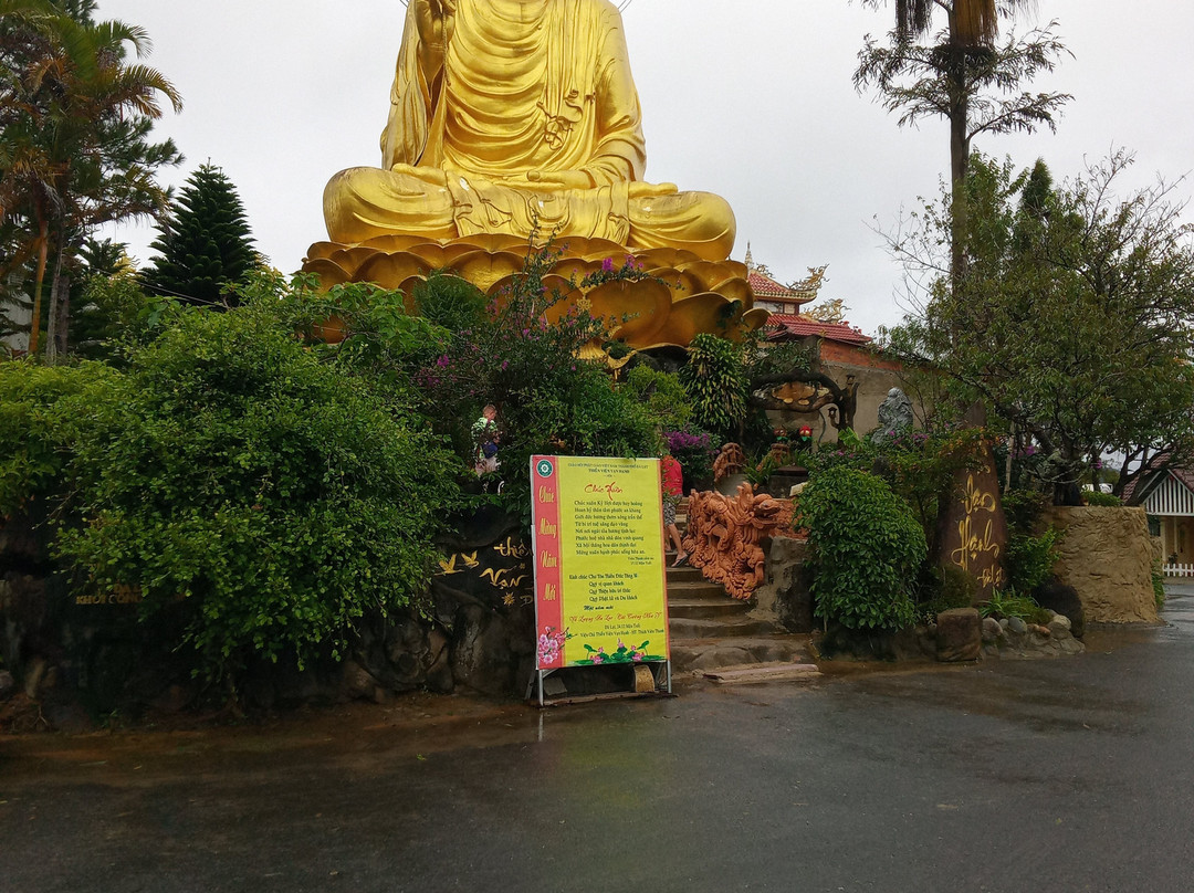 大叻金佛像景点图片