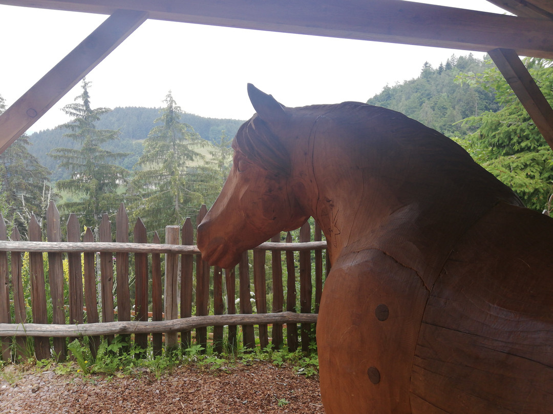 Sentiero d'Avventura del Cavallo Haflinger-Avelengo必去景点