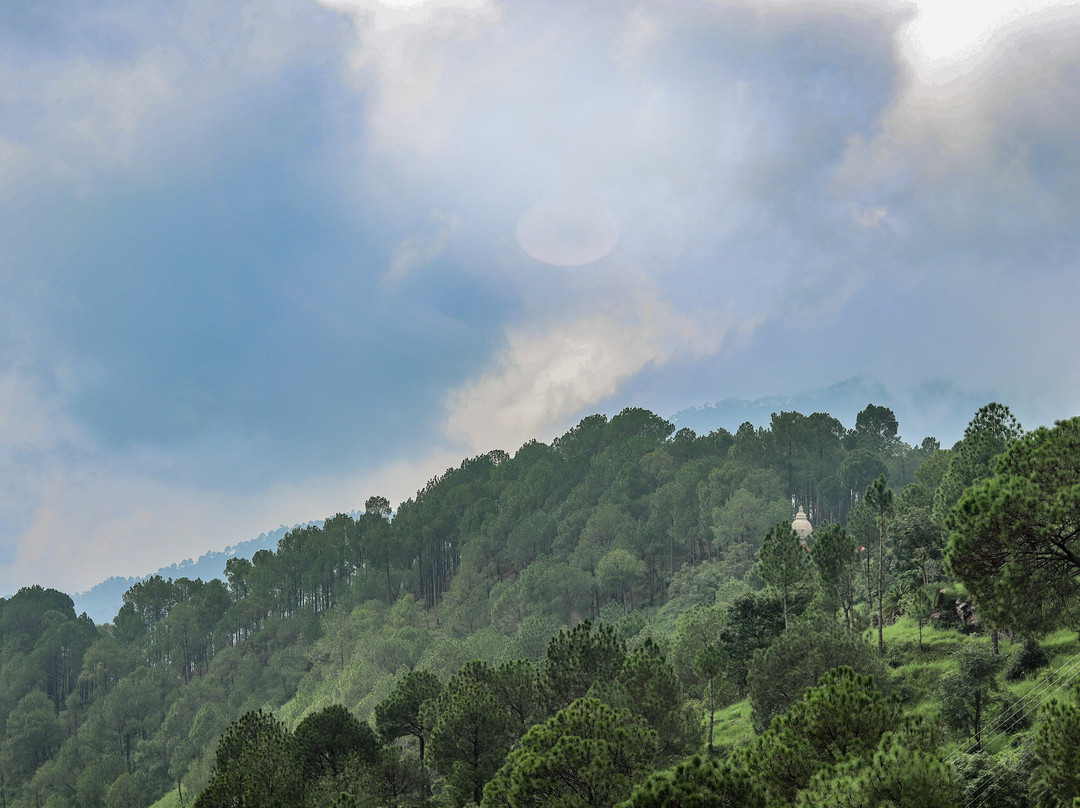 Kasauli Courtyard主图