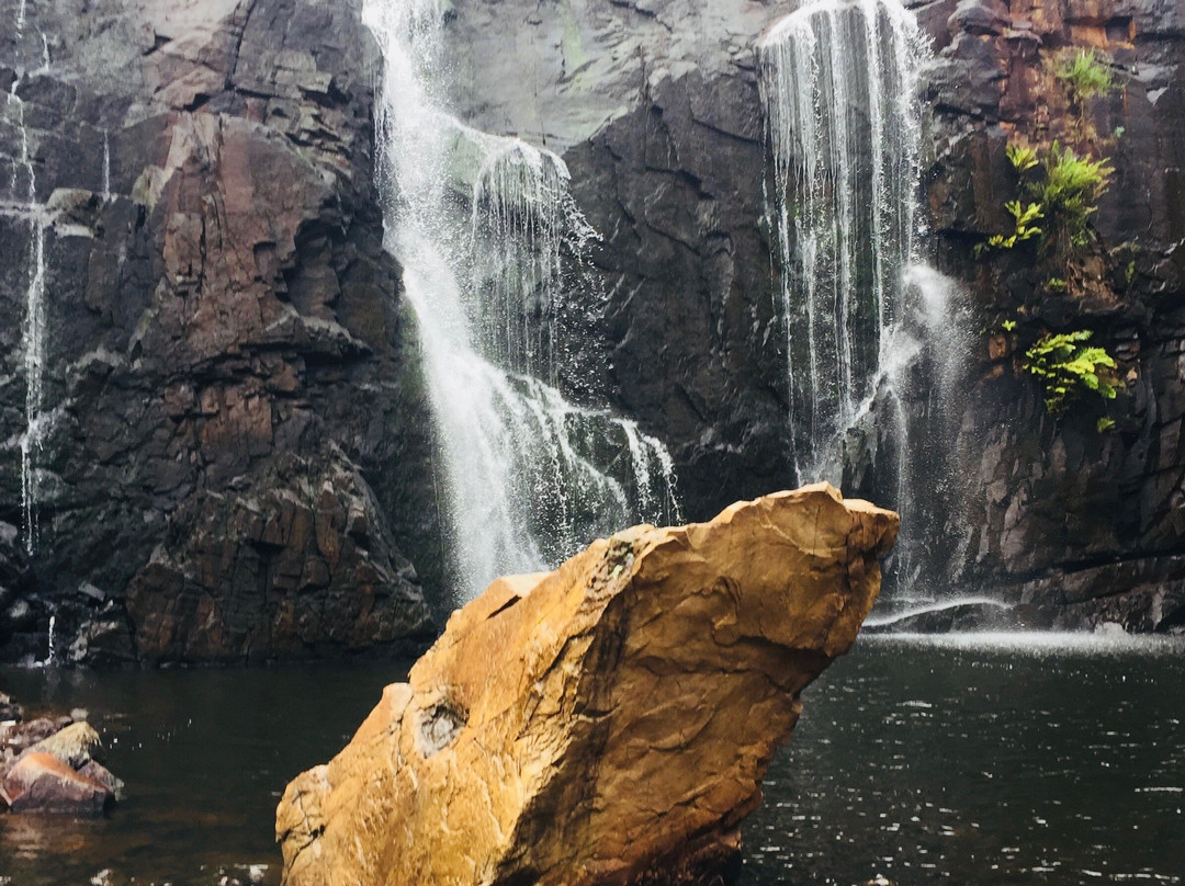 McKenzies Falls-哈密尔顿必去景点