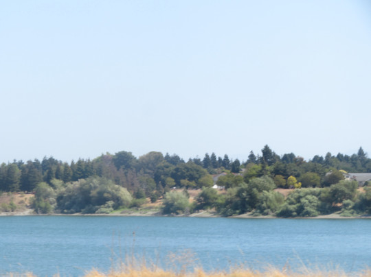 Quarry Lakes Regional Recreation Area-费利蒙必去景点