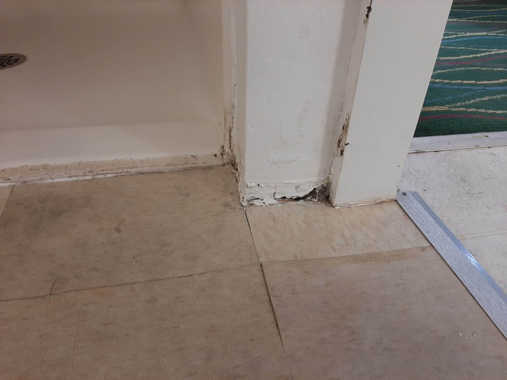 Bayview Motel Lakefront主图