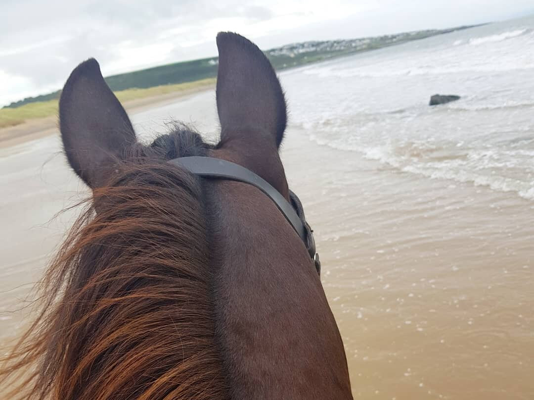 Hoofin-About Horse Riding Holidays-考文垂必去景点