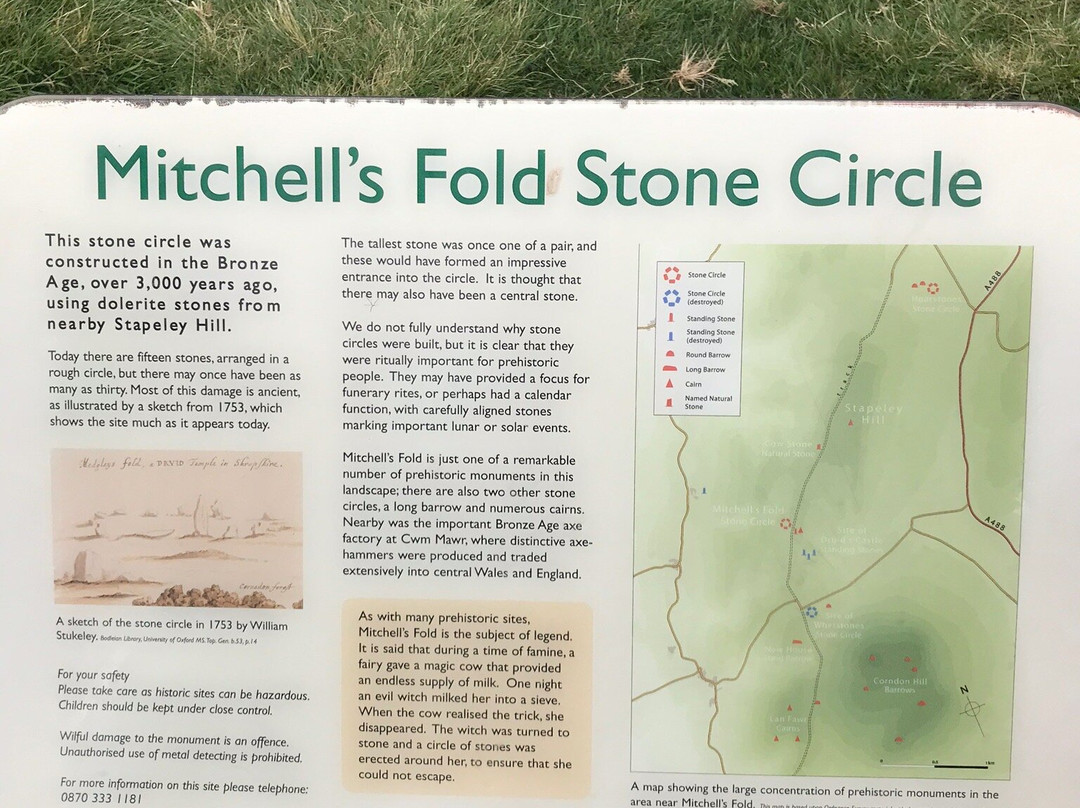 Mitchell's Fold Stone Circle景点图片