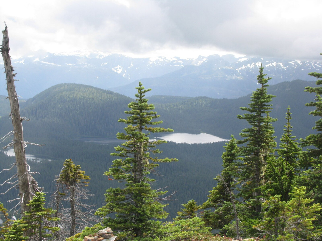 Mount Washington Resort Mile High Chairlift景点图片