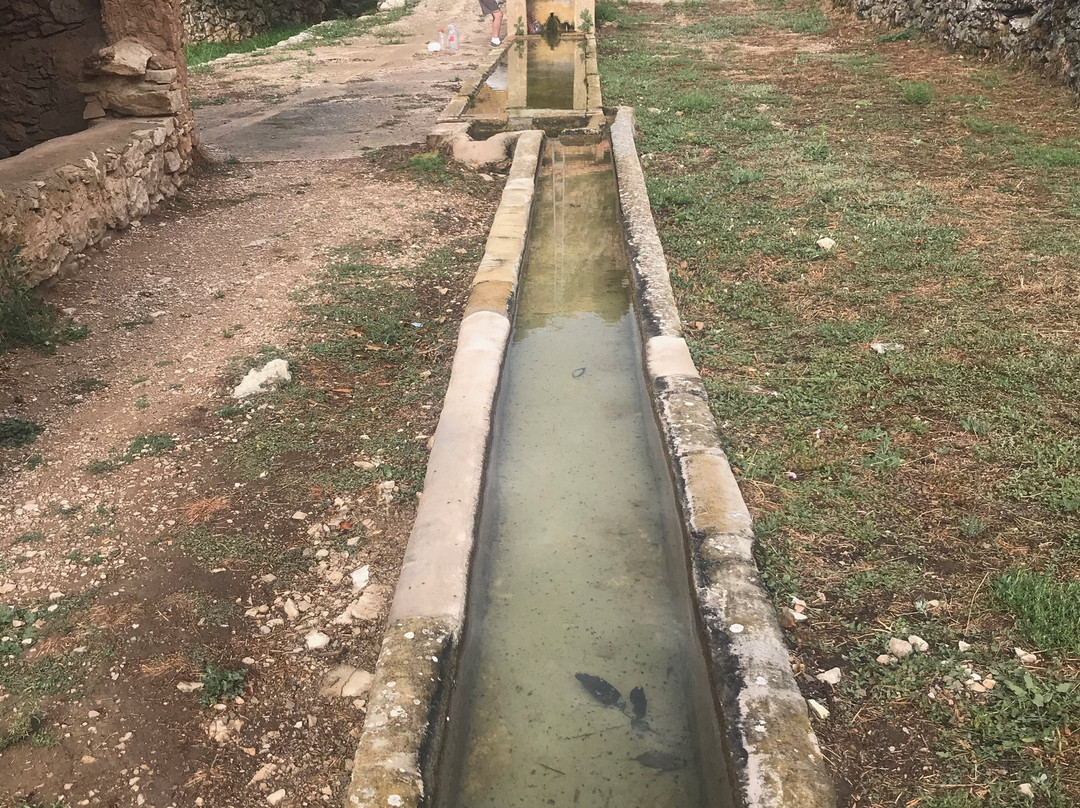 Fuente de Sesga景点图片