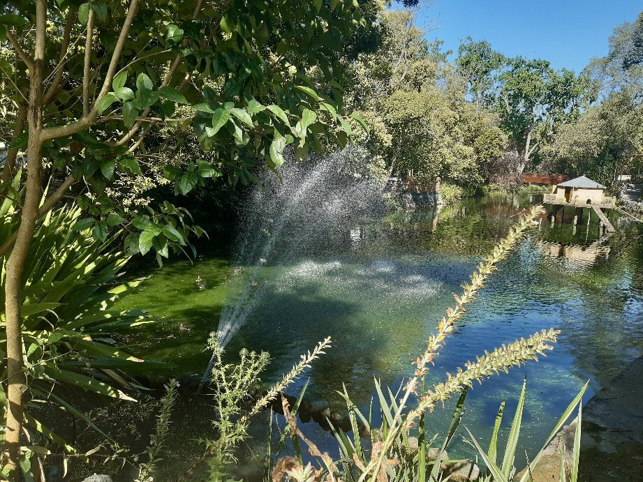 Parque Infante D. Pedro景点图片