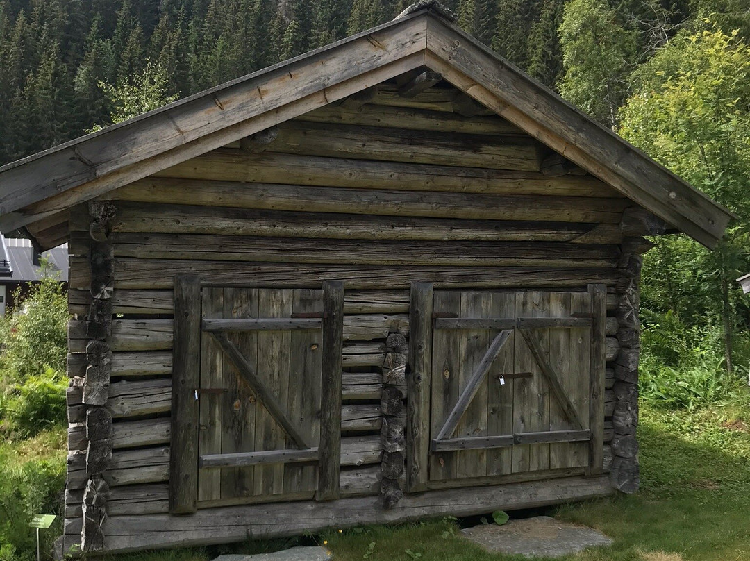 Vest-Telemark Museum Eidsborg景点图片