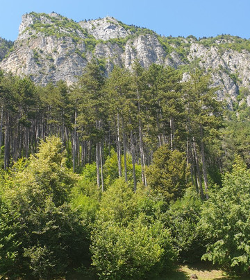Albergo ristorante Al Platz主图