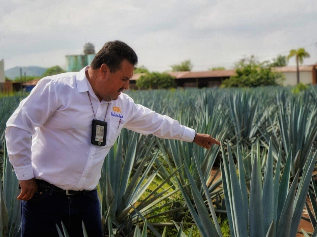 GDL Adventure-特基拉必去景点