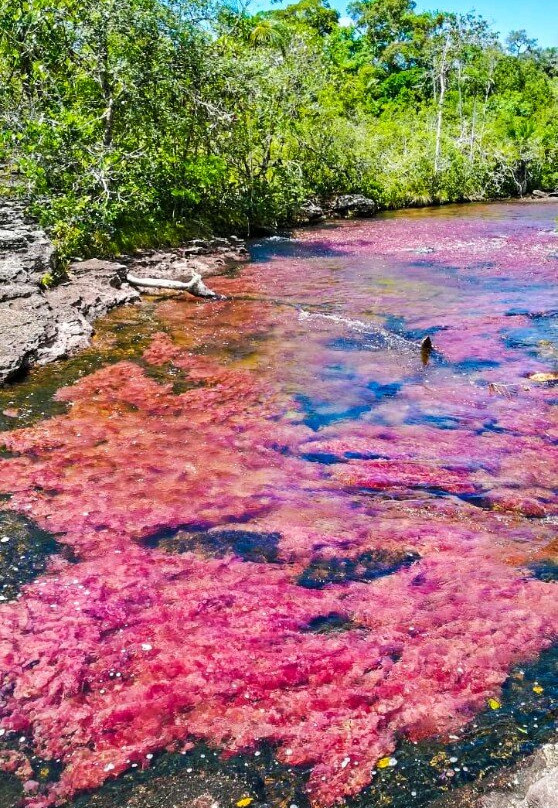 Macarenia Travel-La Macarena必去景点