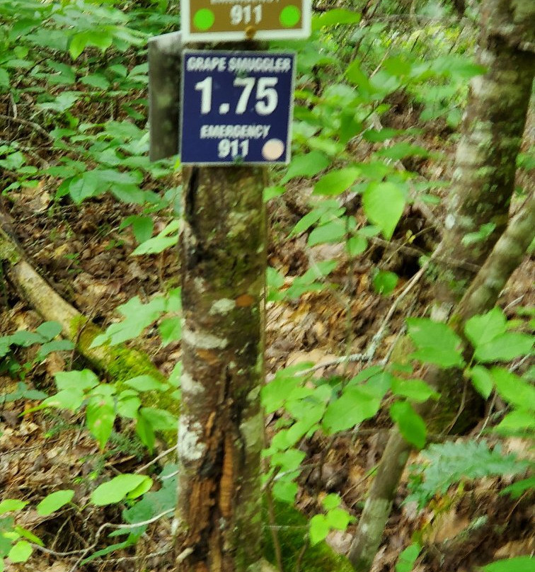 Piney Knob Trail System景点图片